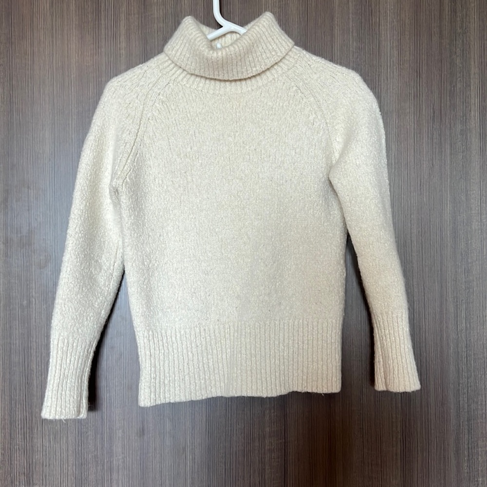 Aritzia Babaton Turtleneck Sweater